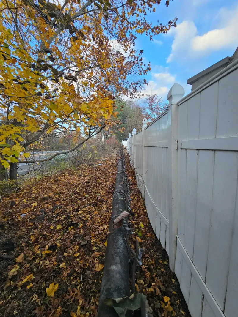 Yard Debris in New Bedford MA